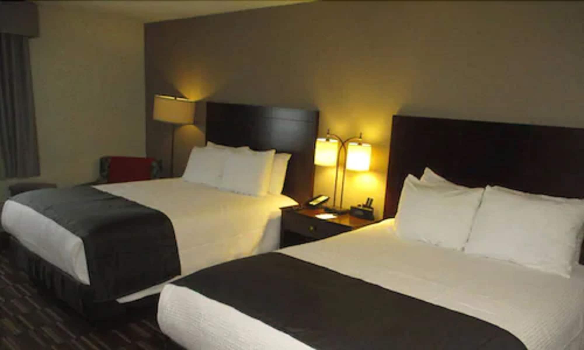Best Western University Inn Urbana Extérieur photo