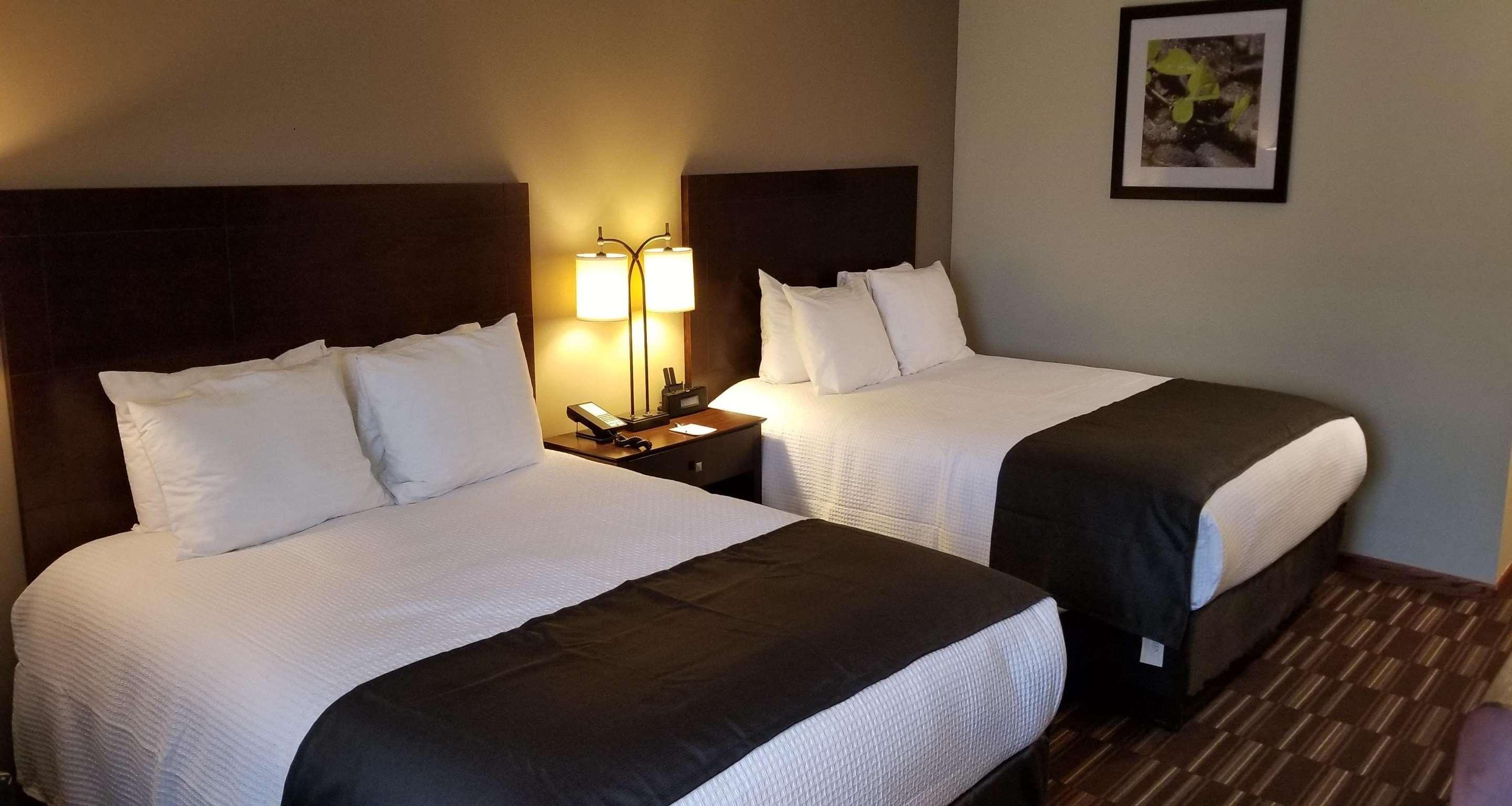 Best Western University Inn Urbana Extérieur photo